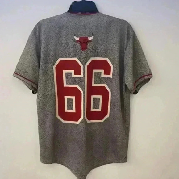 Chicago Bulls NBA Button Front Jersey Number 66 Size Medium - Picture 2 of 7
